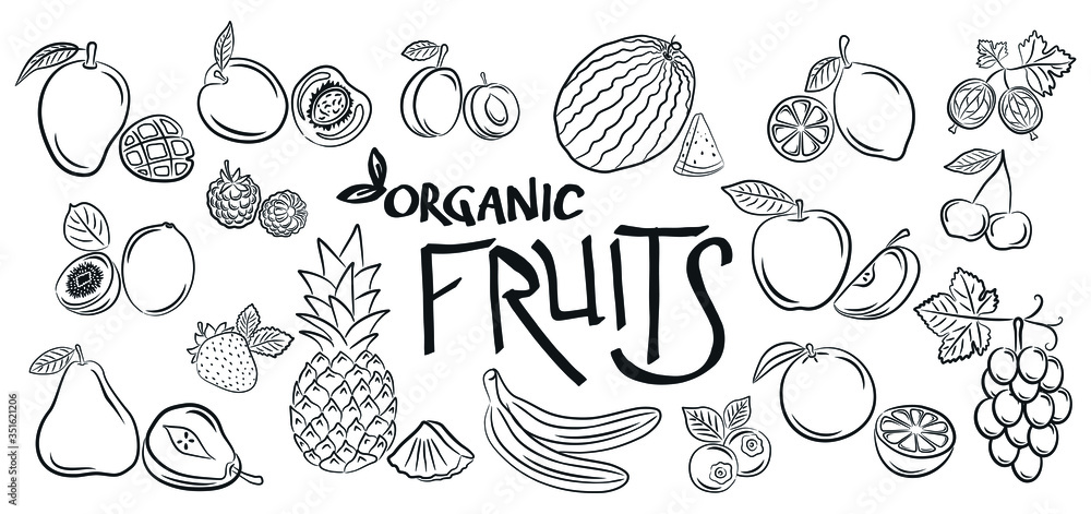 Big set of fruits and vegetables doodle on a white background. Vegetarian healthy food, isolated sketches for the menu of restaurants, cafes, etc. Hand drawing vector illustration. Big set of fruits and vegetables doodle on a white background. Vegetarian healthy food, isolated sketches for the menu of restaurants, cafes, etc. Hand drawing vector illustration.