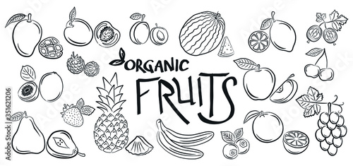 Big set of fruits and vegetables doodle on a white background. Vegetarian healthy food  isolated sketches for the menu of restaurants  cafes  etc. Hand drawing vector illustration.