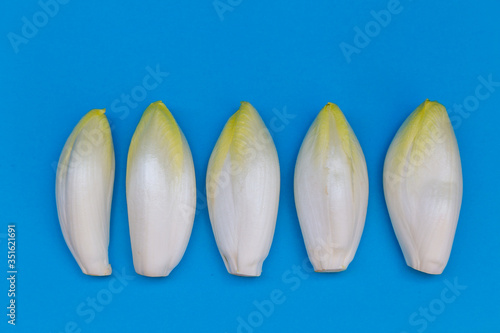 Fresh chicory on a clear blue background photo