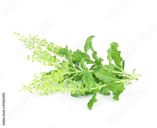 Holy basil or tulsi leaves isolated over white background