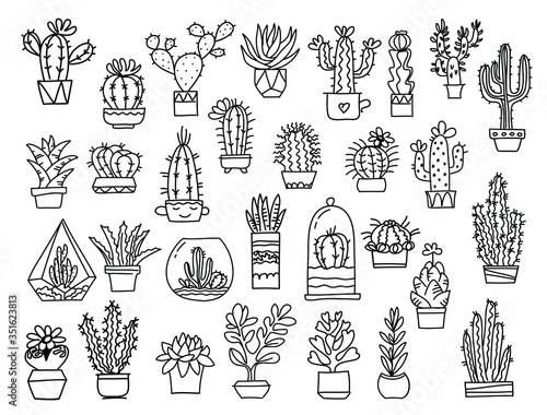 Cactuses. Hand drawn outline cactus. Vector set cacti, aloe and leaves Collection of exotic plants hand drawn illustration isolated on white