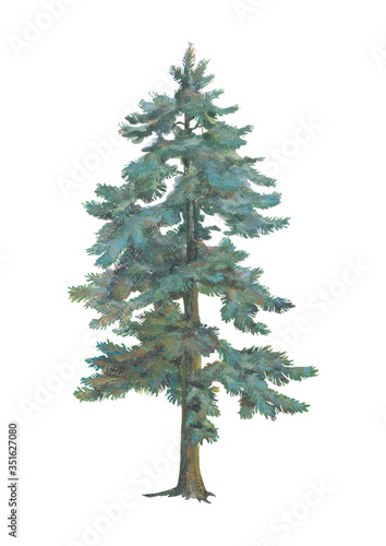 watercolor graphics green high christmas tree. festive forest tree new year congratulation holiday decoration for home for christmas. coniferous northern plant. Isolated on a white background.