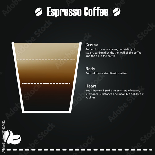 Infographic Espresso components, Espresso coffee has been available for more than 40 years. Can print the image as a shop decoration or give information in a coffee shop. Illustration and vector.
