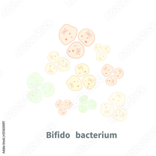 Bifidobacterium probiotics on white