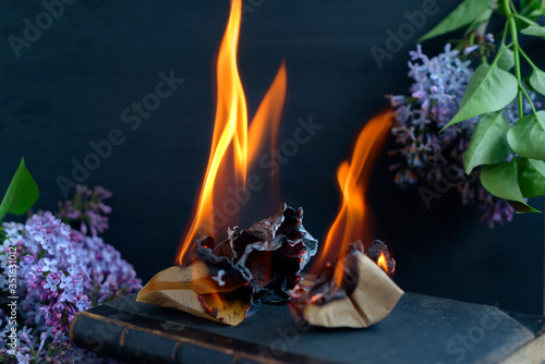 the book is burning with flames on a dark background with lilac flowers