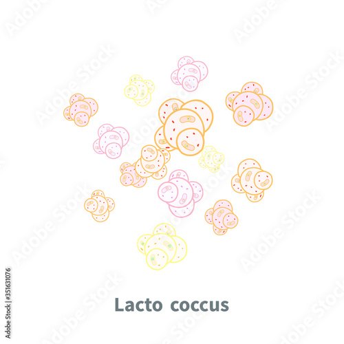 Lactococcus probiotics on white