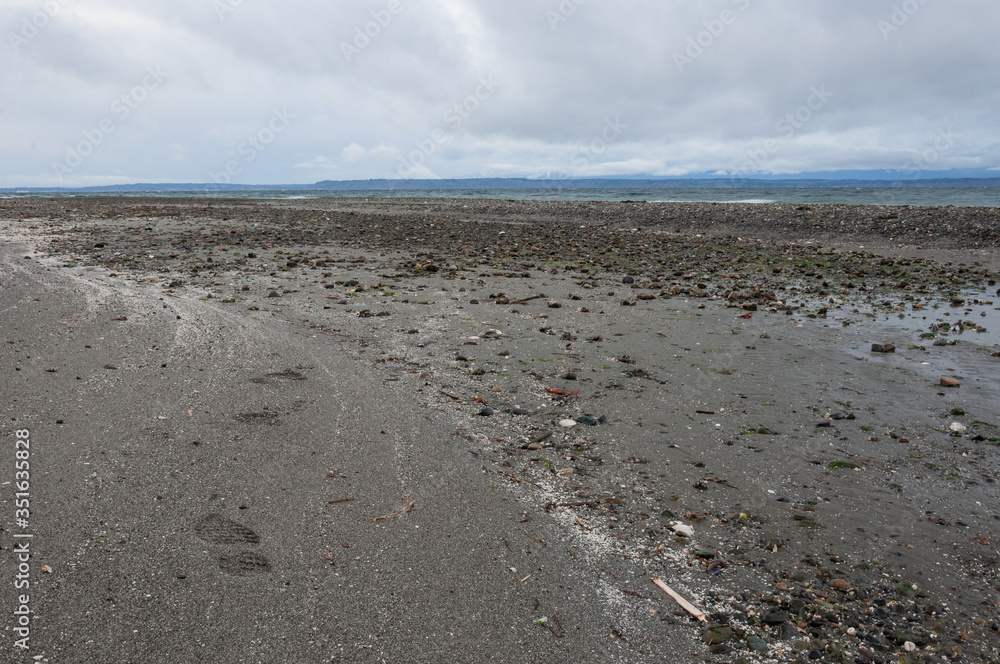 I have took this photo in Picnic Point area, WA, USA I have took this photo in Picnic Point area, WA, USA