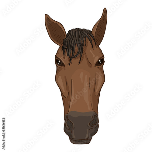 Vector Cartoon Horse Head.