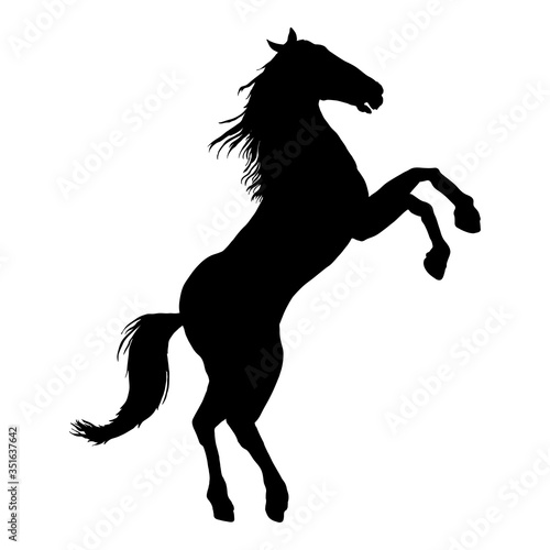 Vector Silhouette Rearing Horse