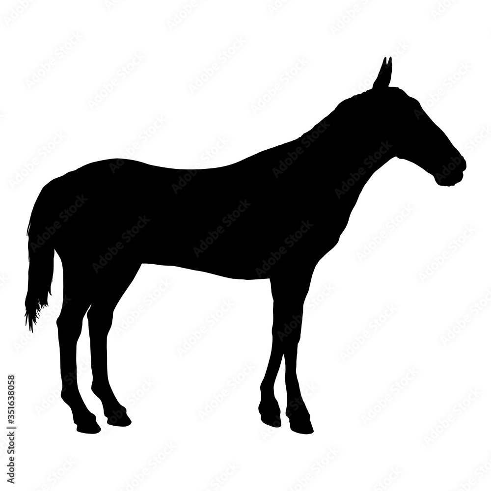Vector Silhouette of Horse