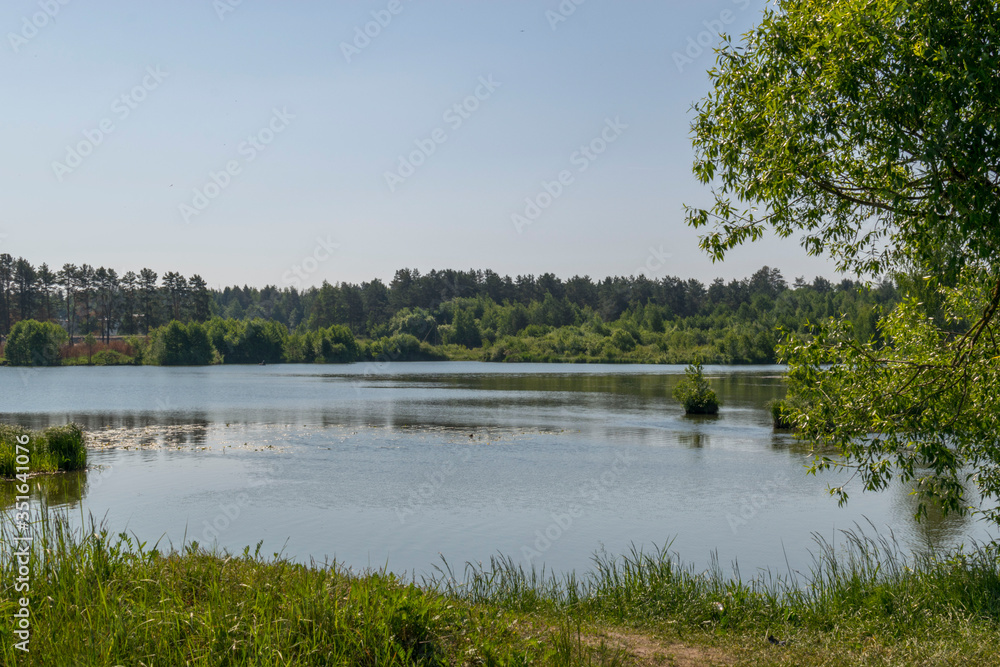 green summer landscape with a lake