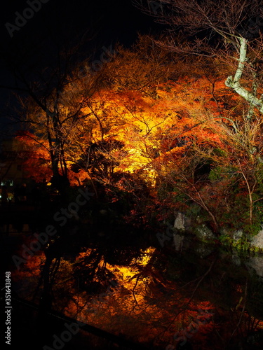 日本、京都、秋、紅葉