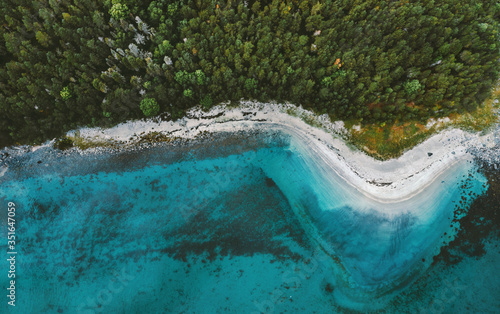Aerial view ocean sandy beach and coniferous forest drone landscape in Norway above trees and blue sea water scandinavian nature wilderness top down scenery © EVERST
