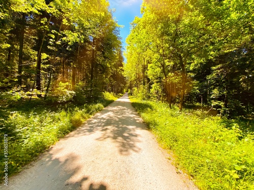 path in the park