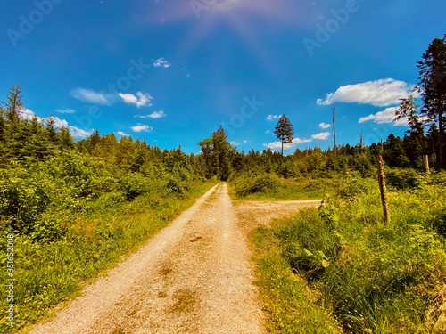 road in the field