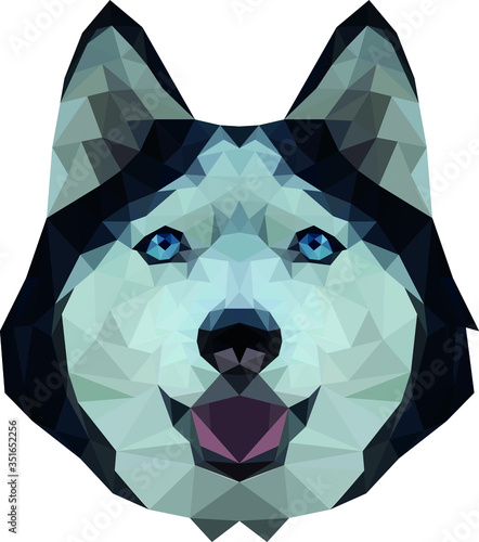Siberian Husky.  Blue eyes dog. Vector. White background. Low-Poly style. 