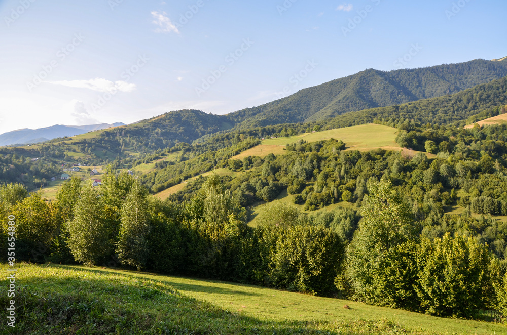 Countryside mountain landscape with forest in the meadow in summer sunny day. Nature Panorama Carpathians village in mountains