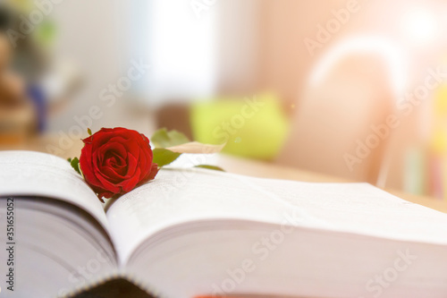 Red roses on books, love concepts and books photo