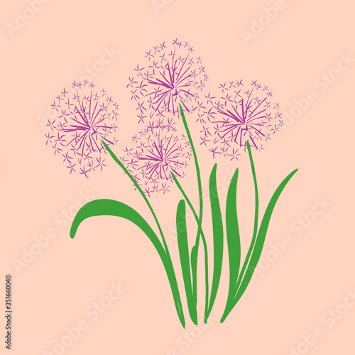 Image of a lilac onion flower on a pink background, in vector graphics. For the design of postcards, wallpapers, phone covers, notebooks, wrapping paper, prints for t- shirts