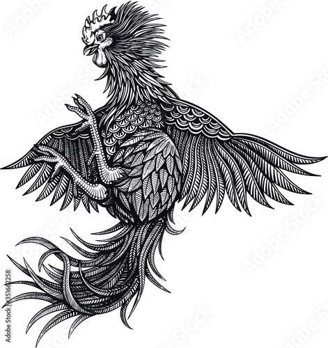 Vector Black and White Rooster Illustration