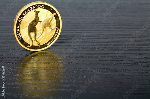 The Golden Age - Australian Kangaroo - A gold investment coin for bad times.