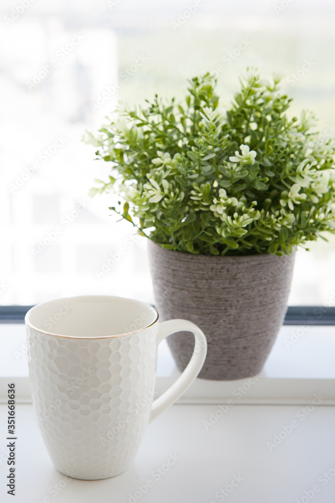 white cup near with a green plant on a light background in the morning light