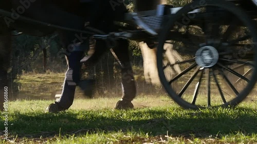 horses legs pulling carriage slow motion photo