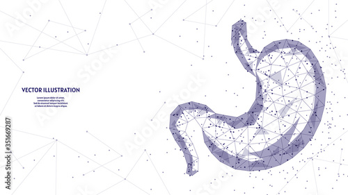 Human stomach close up. Organ anatomy. Digestive system. Ulcer, cancer, gastritis, dysbiosis. Innovative medicine and technology. 3d low poly wireframe vector illustration.