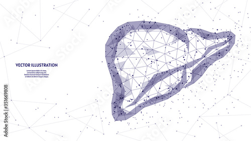 Human liver close-up. Organ anatomy. Diagnosis of the disease cirrhosis, cancer, intoxication, hepatitis. Innovative medicine and technology. 3d low poly wireframe vector illustration.