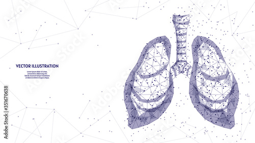 Human lungs and trachea. Organ anatomy. Coronavirus pneumonia, cancer, organ transplant, tuberculosis, asthma. Innovative medical technology. 3d low poly wireframe vector illustration.