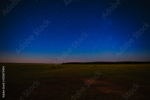 starry sky over the forest and field at night in summer