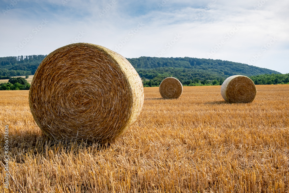 Gold straw bales during mid summer in Hungary, close to Kapolcs Gold straw bales during mid summer in Hungary, close to Kapolcs