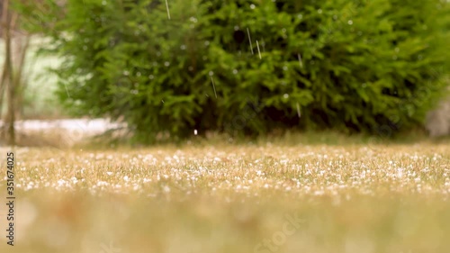 Thunderstorm with heavy hail and sleet showers. Hailstones on the grass.