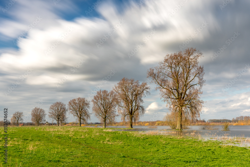 landscape in which trees standing are in the river landscape in which trees standing are in the river