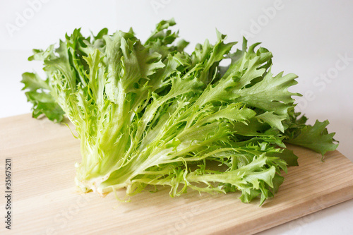 A bunch of fresh lettuce on the cutting wooden board on the white background. Seasoning greens on the table. Healthy vegetarian food. An ingredient for salad.