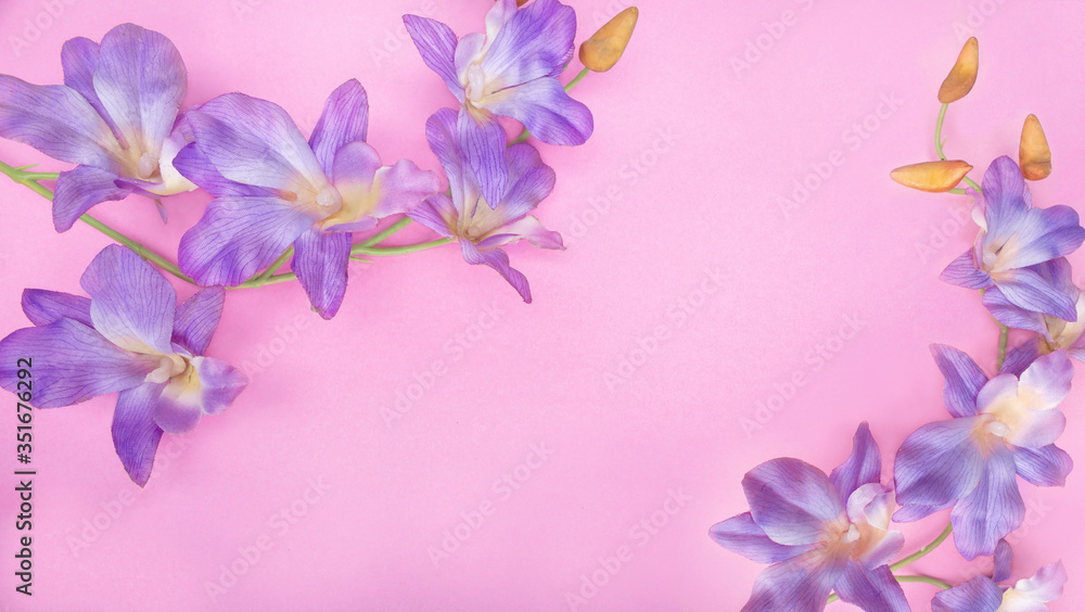 Flowers composition. Purple orchid on pastel pink background. Flat lay, top view, copy space