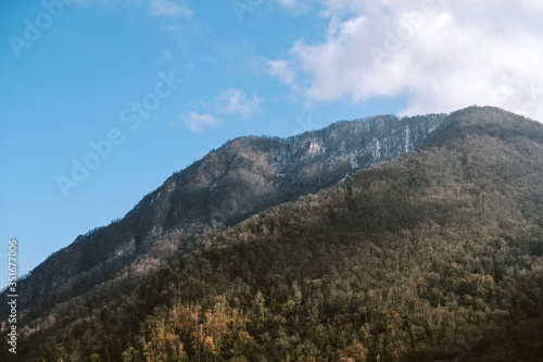 forested mountain in early spring on a sunny day against the sky