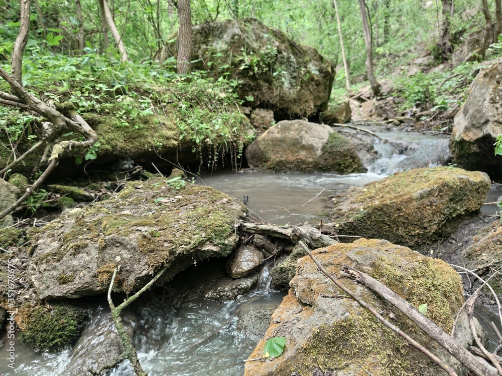 Stream in the forest. Stones with moss. Green plants and leaves on the bushes. Old dry branches. Stream in the forest. Stones with moss. Green plants and leaves on the bushes. Old dry branches.