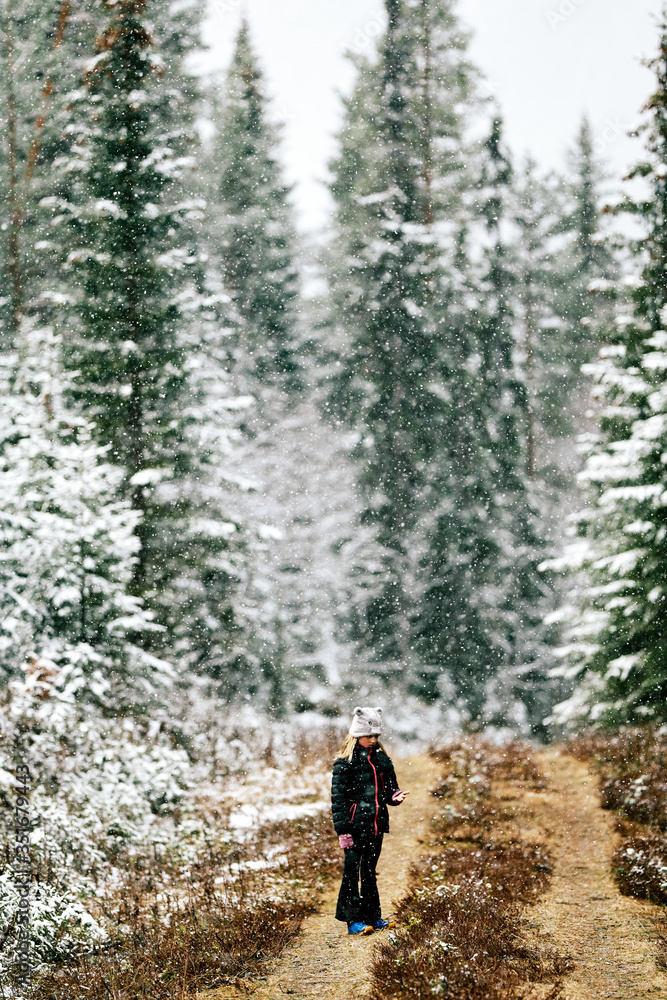 Snow in Spring