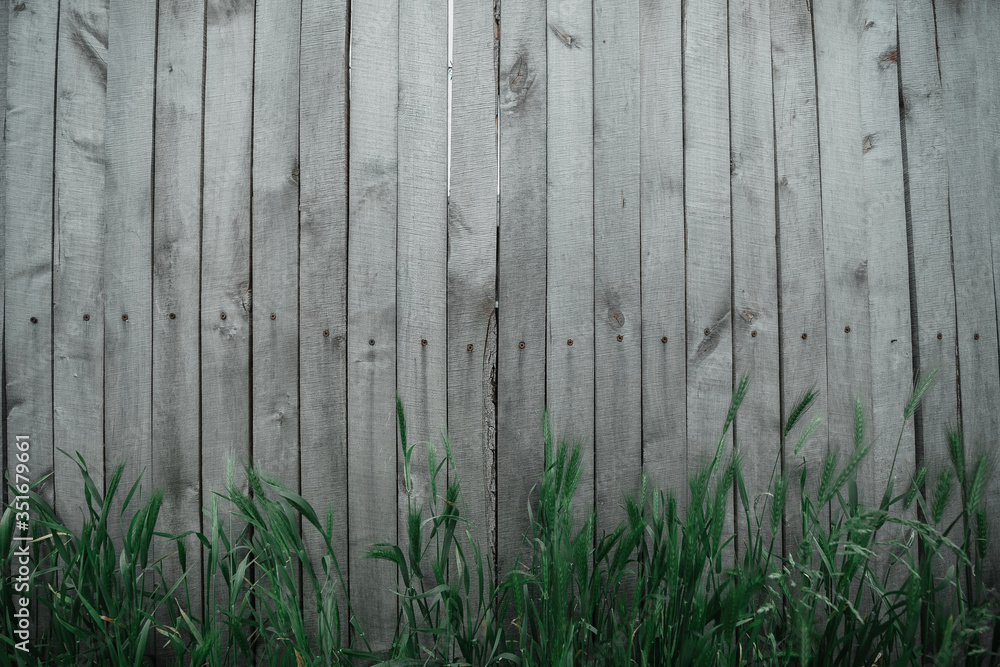 old wood fence background with grass old wood fence background with grass