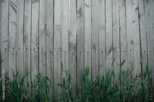 old wood fence background with grass