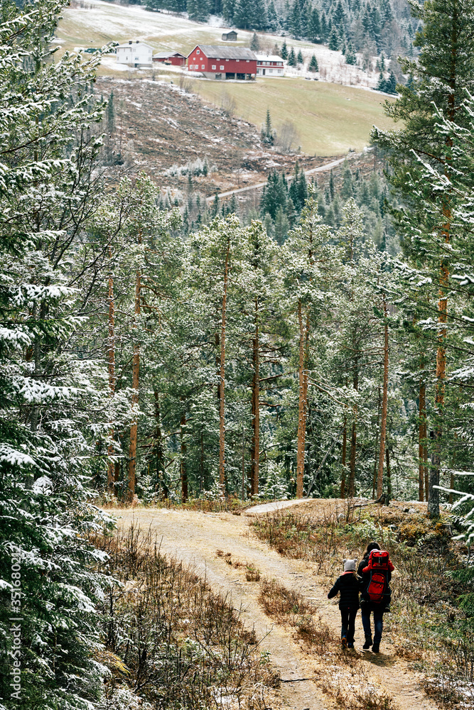 Fototapeta premium Snow in Spring