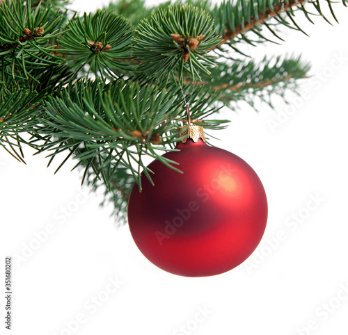 red christmas ball on tree © Ira Bachinskaya