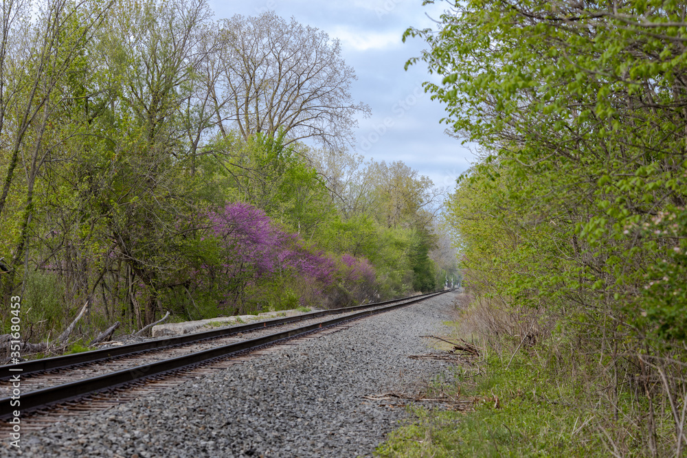 Spring Railroad