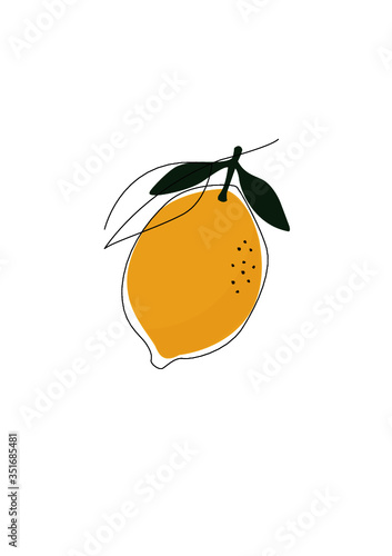 Leomon, Zitrone, Sommer, Baum, Vitamin C, Tee, Frucht, Obst, Illustration, Zeichnung, Urlaub, Antibakteriell, Gesund, Zitronenkuchen