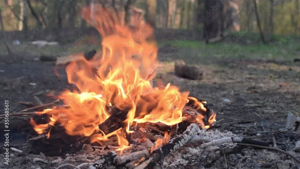 Burning bonfire in the forest. Burning bonfire in the forest.