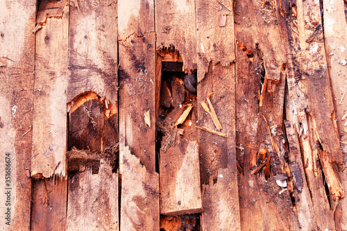 break in a rotten wooden floor