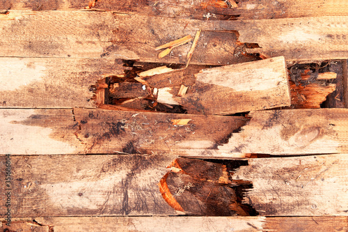 break in a rotten wooden floor