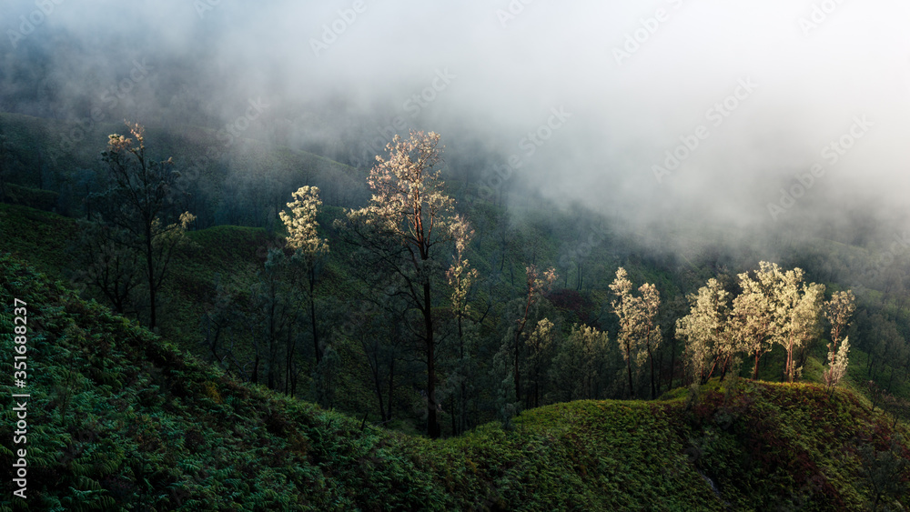 Fototapeta premium Foggy morning around Ijen volcano on Java island, Indonesia. Another planet landscape