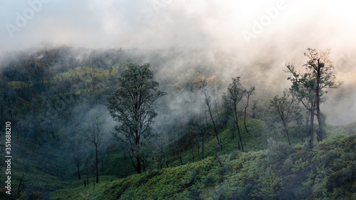 Foggy morning around Ijen volcano on Java island, Indonesia. Another planet landscape